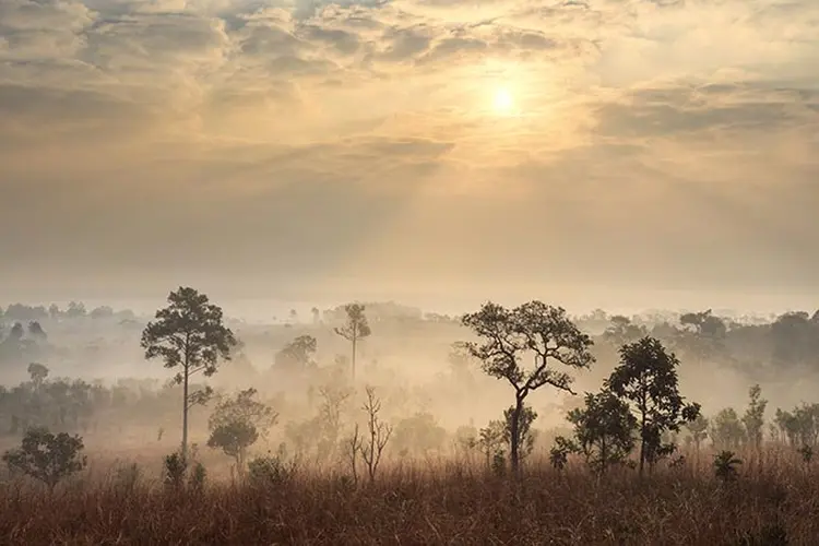 Paisagem de savana. (Narathip12/Thinkstock)