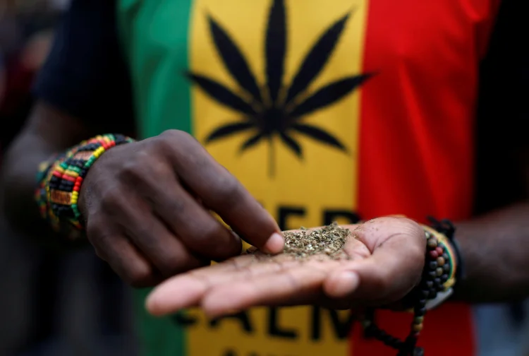 Maconha: Já não será crime um adulto consumir ou possuir maconha em casa para o uso pessoal, afirmou o juiz (Mike Hutchings/Reuters)