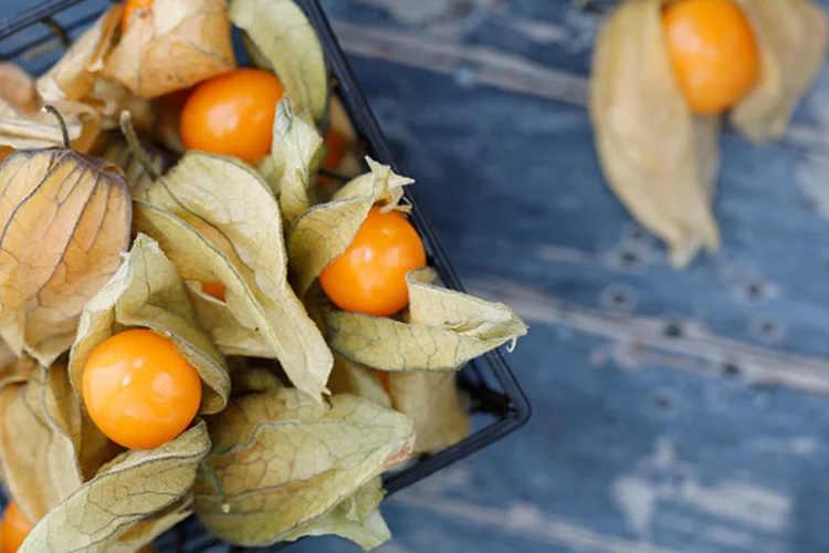 Physalis: As frutas amarelas do tamanho de uma bolinha de gude podem ser adicionadas a produtos assados, saladas e cereais (Getty Images/Getty Images)