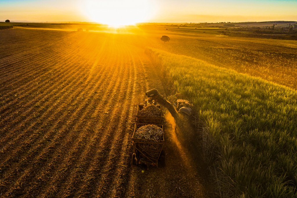 Startup coloca mais uma revolução tecnológica a caminho do campo