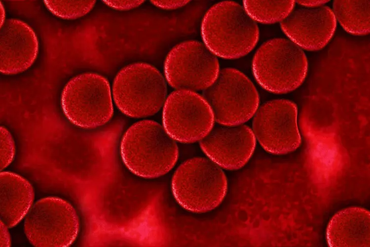 Mortalidade: cientistas desenvolvem exame sanguíneo que prevê riscos de morte (Pixabay/Reprodução)