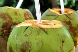 Biocombustível de coco verde pode resolver problema de R$ 900 mil ao ano