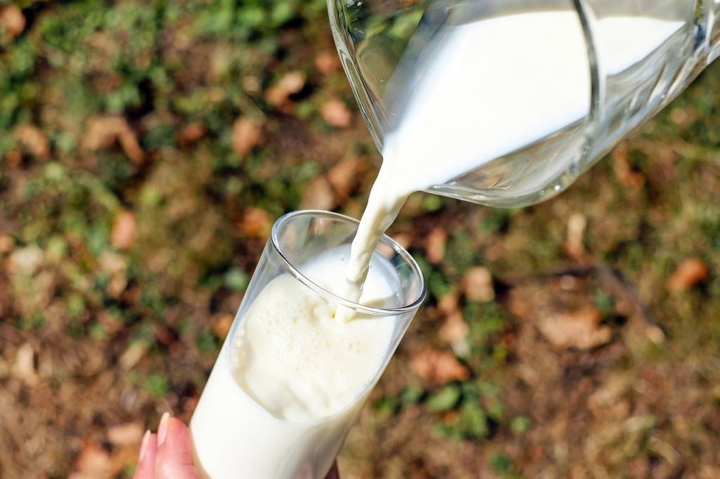 Preço do leite pago a produtor tem 7ª alta seguida e atinge recorde, diz Cepea