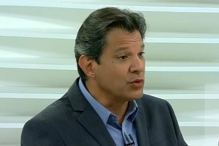 Fernando Haddad no Roda Viva em 22/10/2018 (TVCultura/Reprodução)