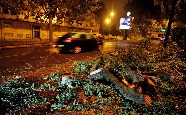 Árvores caídas são vistas no bairro de Benfica, em Lisboa, após a passagem da tempestade Leslie (Rafael Marchante/Reuters)