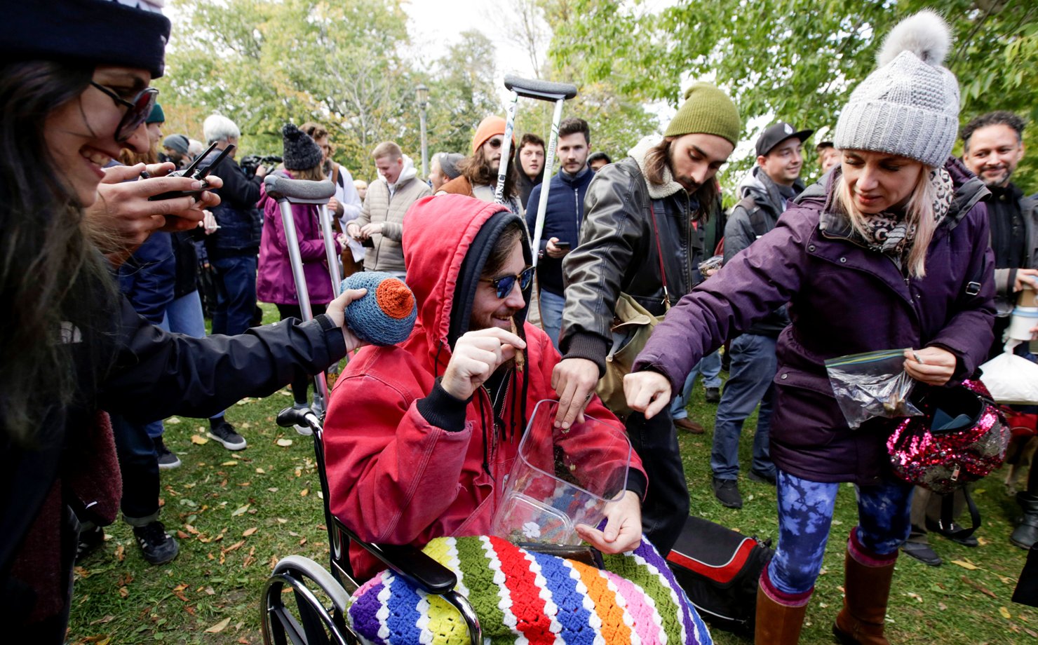 Falta maconha no Canadá em meio a chuva de pedidos de licença