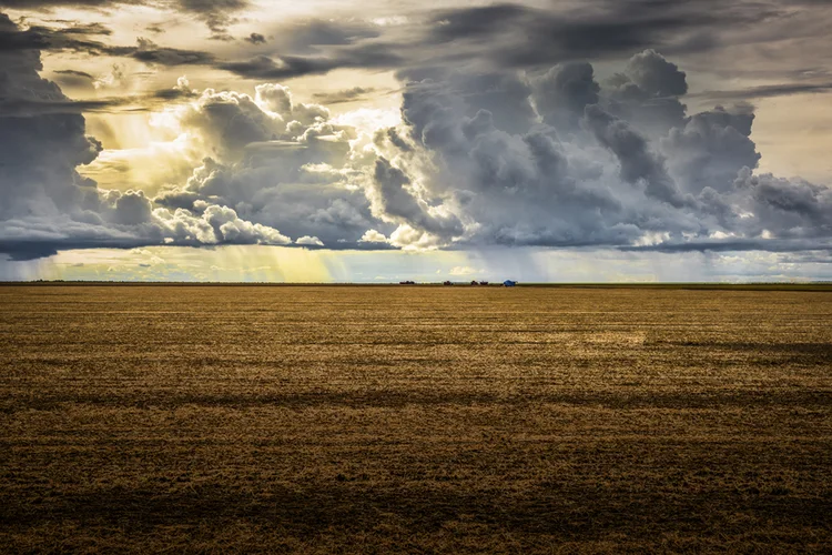 Savanização: perdas no Cerrado em 2023 foram cerca de 2,4 vezes a destruição registrada na Amazônia (Germano Lüders/Exame)