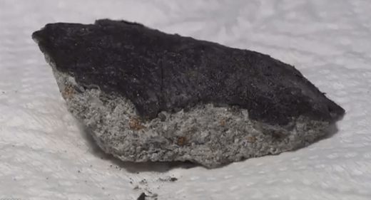 O meteorito de 550 gramas foi encontrado na cidade de Komaki no dia 26 de setembro (NHK News Web/Divulgação)