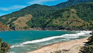 Imagem referente à matéria: TEDx chega a Ilhabela e debate o desenvolvimento sustentável da Mata Atlântica e o futuro das praias