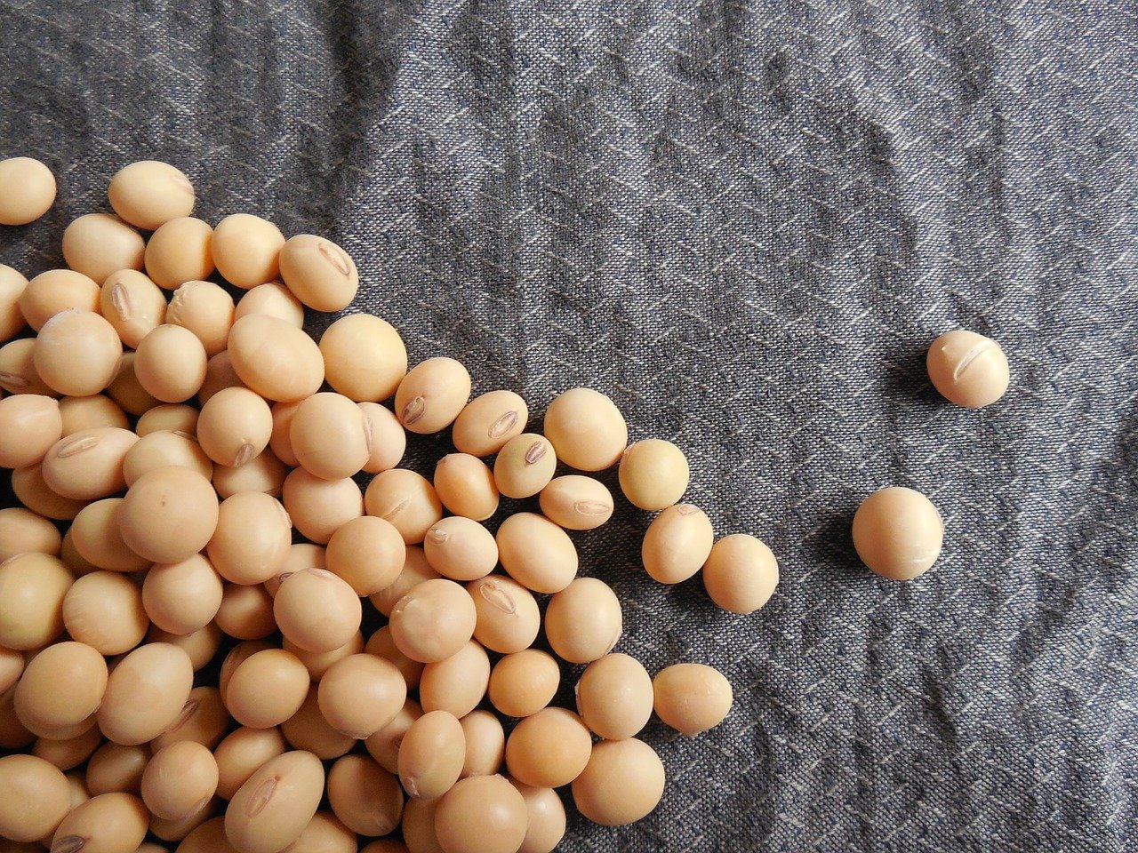 Semente do agro na bolsa: vale a pena entrar no IPO da Boa Safra?