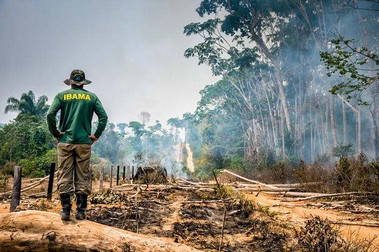 DESMATAMENTO: alerta climático ocorre dois anos após o Acordo de Paris, em que 195 países aprovaram o compromisso para reduzir a emissão de gases do efeito estufa (Vinícius Mendonça/Ibama/Divulgação)