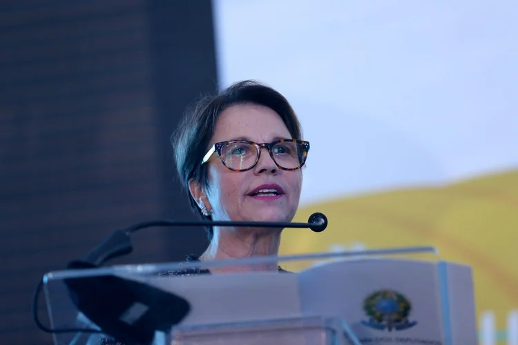 Tereza Cristina: segundo a nova ministra da Agricultura, o Brasil tem legislação ambiental extremamente avançada (Wilson Dias/Agência Brasil/Agência Brasil)