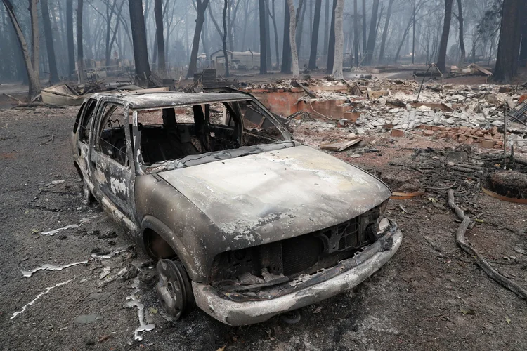 Incêndios: cerca de 100 policiais militares foram treinados para buscar e identificar restos humanos (Terray Sylvester/Reuters)