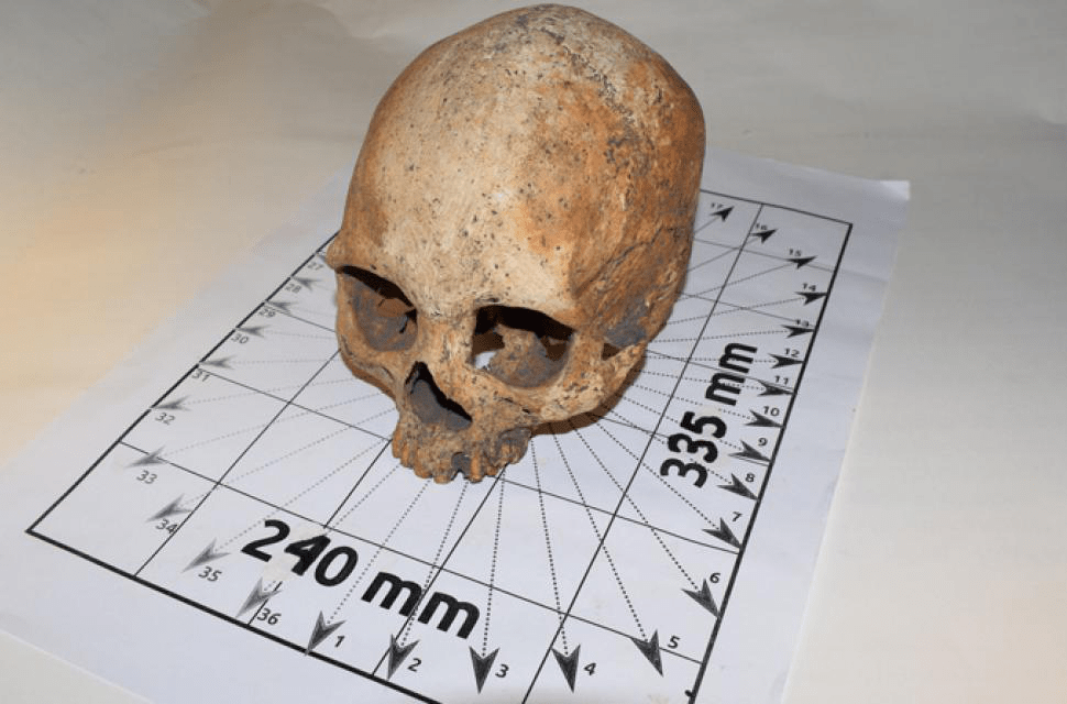 Crânio mais antigo já encontrado no Uruguai ganha rosto