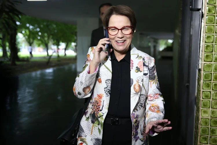 Imagem de arquivo de Tereza Cristina: A futura ministra da pasta disse que a agricultura familiar deve ter tratamento especial (Antonio Cruz/Agência Brasil)