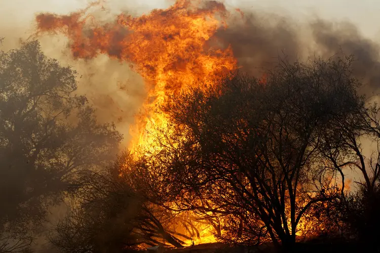 Califórnia: "Algumas pessoas desaparecidas ainda podem estar vivas", disse xerife do condado de Butte (Sandy Huffaker/Getty Images)