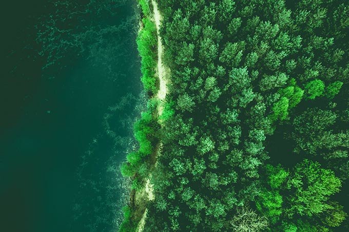 Floresta e lago sem vestígios de atividades humanas.  (merc67/Getty Images)