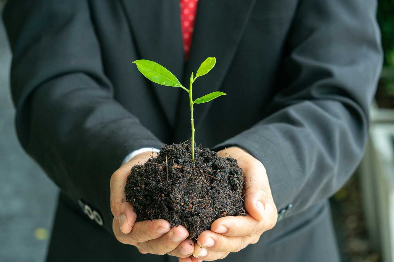 Nosso futuro depende de cadeias produtivas inclusivas e inteligentes