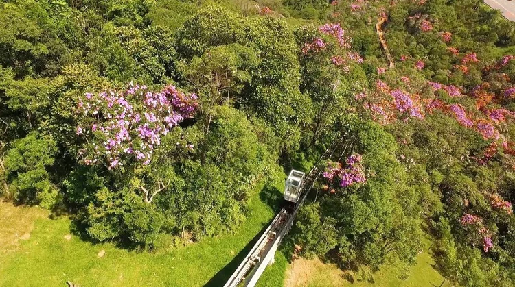 Parque Ecológico Imigrantes: visitas começam em 15 de janeiro, com o máximo de 50 pessoas por data (Parque Ecológico Imigrantes/Divulgação)