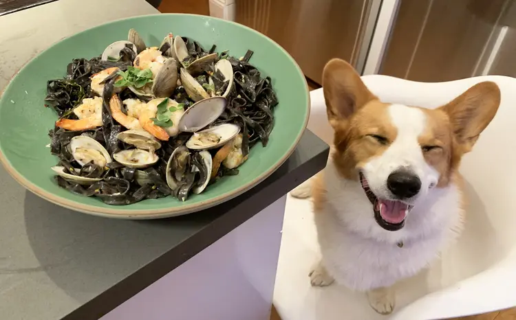 Max posa ao lado de um prato feito pelo seu dono: aficionados por gastronomia e amantes da raça Corgi são dois dos maiores públicos da rede social (Brian X. Chen/The New York Times)