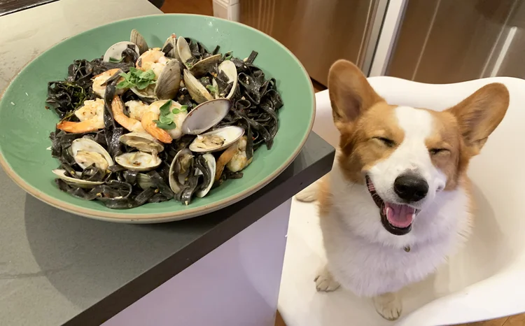 Max posa ao lado de um prato feito pelo seu dono: aficionados por gastronomia e amantes da raça Corgi são dois dos maiores públicos da rede social (Brian X. Chen/The New York Times)