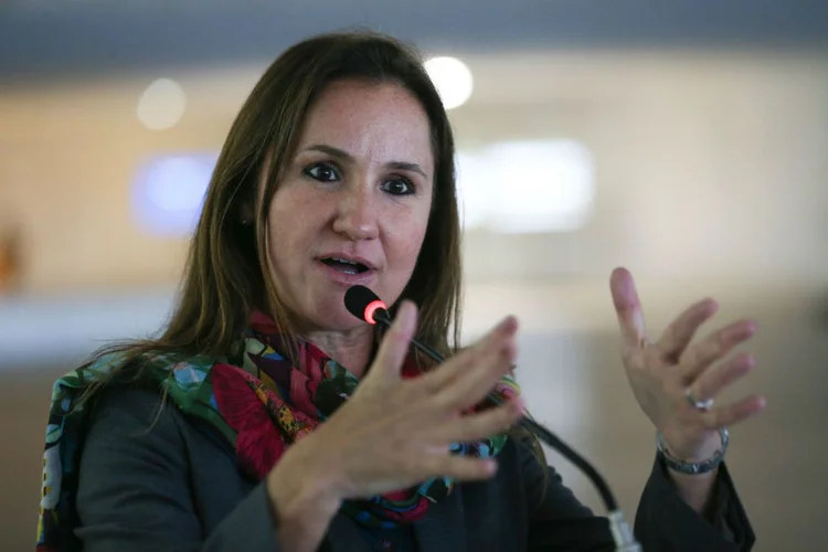 A jurista Flávia Piovesan, representante do Brasil na CIDH (Fabio Rodrigues Pozzebom/Agência Brasil)