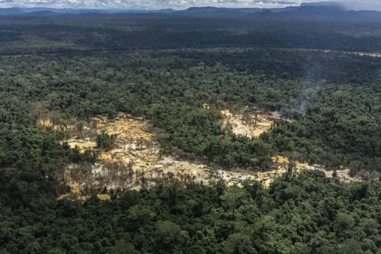 Veias abertas: sobrevoo mostra áreas de garimpo ilegal na Terra Indígena Yanomami. (Rogério Assis - ISA/Divulgação)