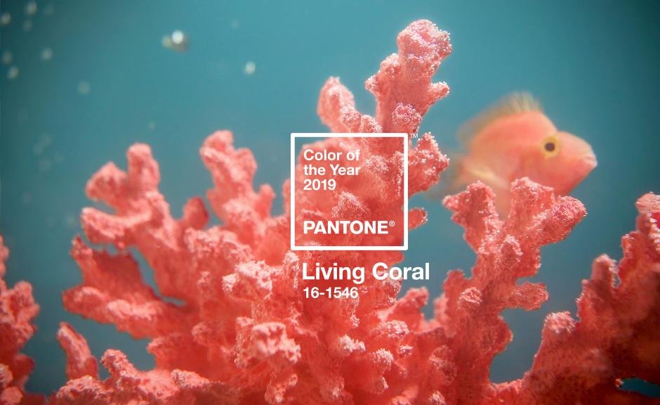 Pantone divulga qual será a cor de 2019