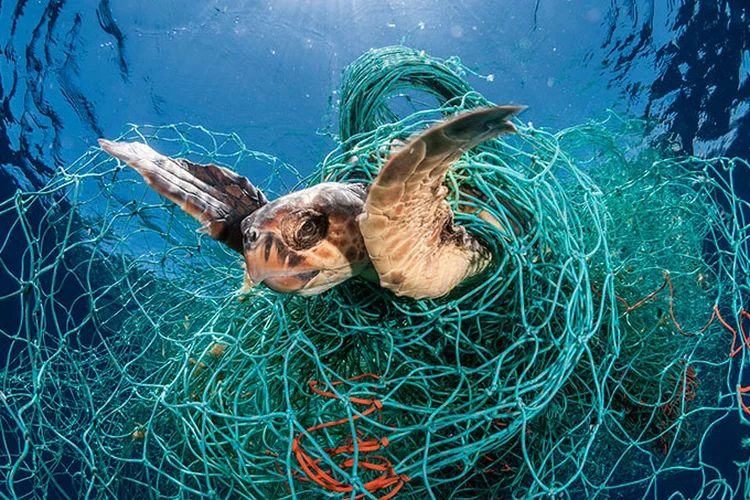 A poluição plástica cresceu 10 vezes desde 1980 (Jordi Chias/ Proteção Animal Mundial/Divulgação)