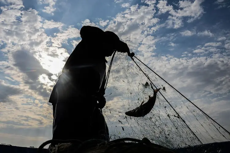 Pesca: empresa do secretário do setor foi multada por ilegalidades (NurPhoto/Getty Images)