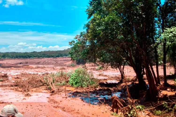 Brumadinho: na manhã deste sábado (26), eles tentavam ter acesso à mina (Corpo de Bombeiros/Divulgação)