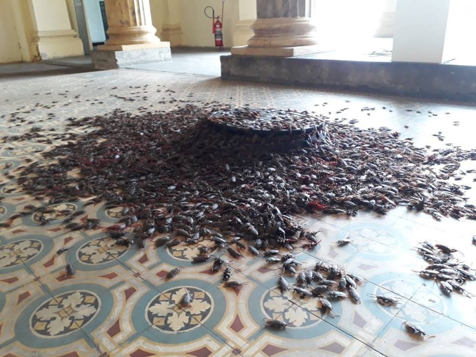 Artistas realizam na rua perfomance proibida no Rio