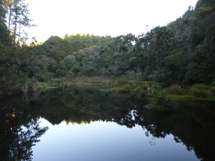 Parque Estadual Campos do Jordão (Carlos Beduschi/ Governo de SP/Divulgação)