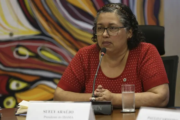 Suely Araújo: presidente do Ibama pediu exoneração após falas de Bolsonaro (José Cruz/Agência Brasil)