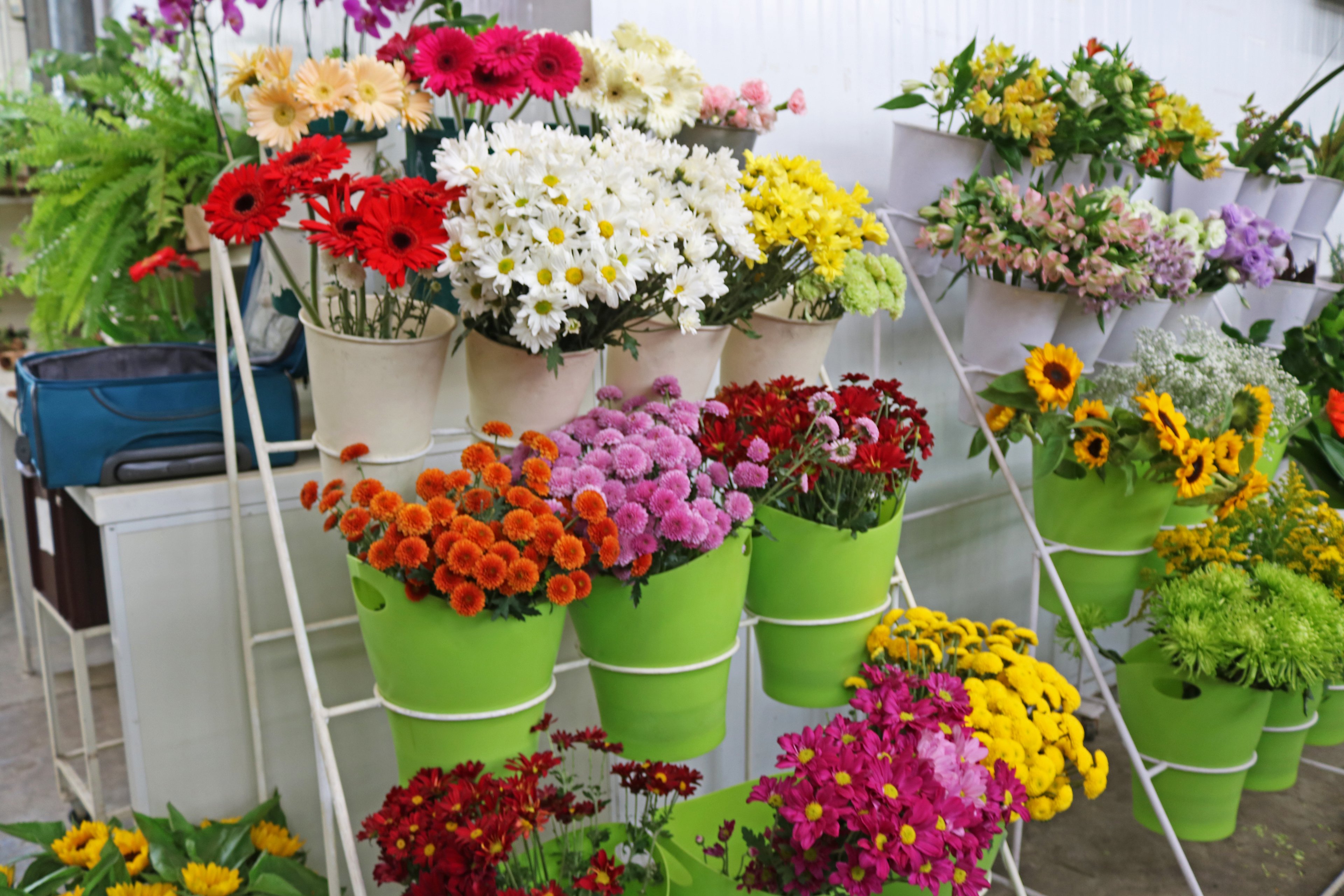 Dono da Flores Online cria negócio de olho no pequeno lojista do interior