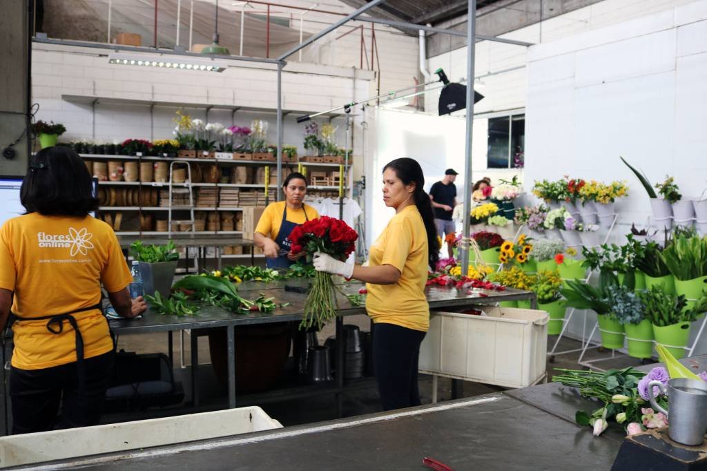 Dona da Flores Online, Grupo Flora expande para mais de 30 países