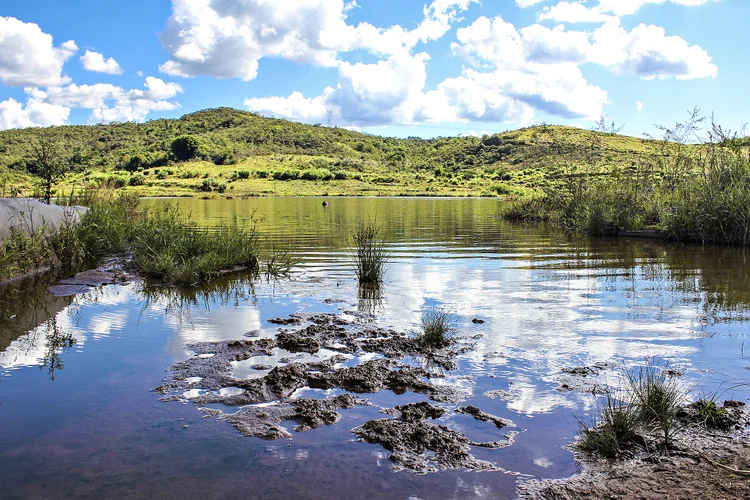 Área onde ficava o povoado de Bento Rodrigues, em Mariana (MG) (Mariana Desidério/Exame)