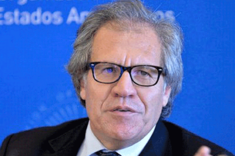 Luis Almagro: Secretário-geral da OEA defendeu posicionamento contra governo de Nicolás Maduro (Twitter/Reprodução)