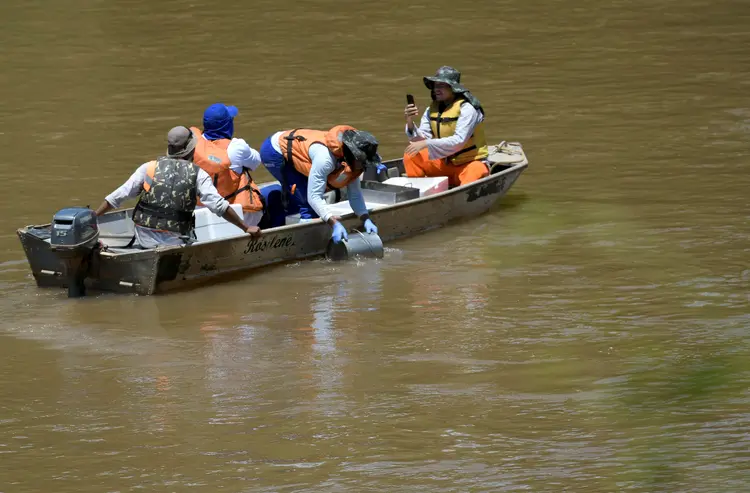 Nível de cobre nas águas do rio Paraopeba chega a até 600 vezes acima do permitido a rios usados para abastecimento humano (Washington Alves/Reuters)