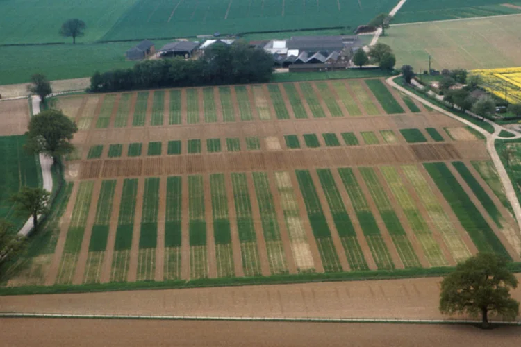 Vista aérea de Broadbalk: cada faixa do campo, de 6 hectares, é usada para um teste diferente e tem o solo em um estado distinto. Um dos pedaços não recebe fertilizantes desde 1843 (Rothamsted Research/Divulgação)