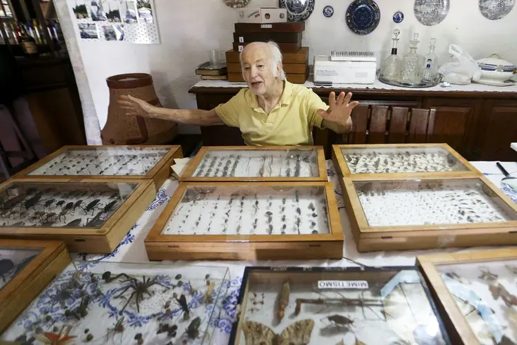 Luiz Cláudio Stawiarski: o médico doará uma coleção de mais de 2 mil espécimes de borboletas e outros insetos para o Museu Nacional do Rio de Janeiro (Marcelo Camargo/Agência Brasil)