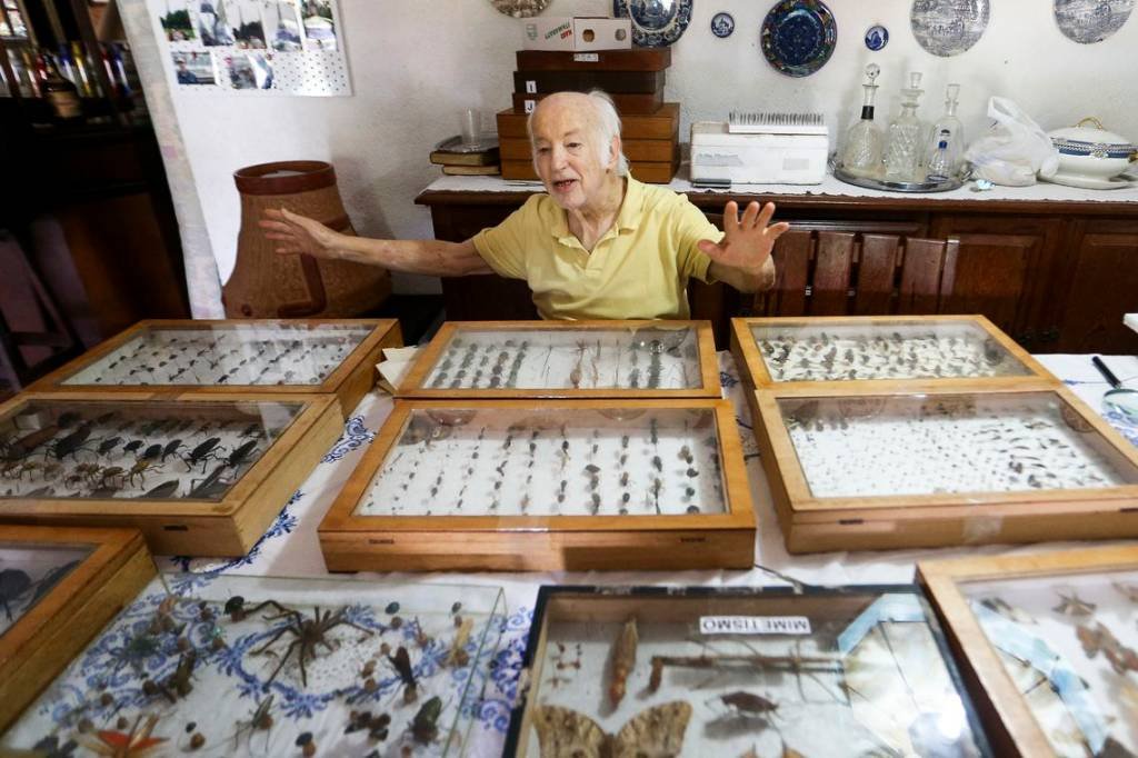 Para reconstruir acervo, colecionador doa 2 mil insetos ao Museu Nacional