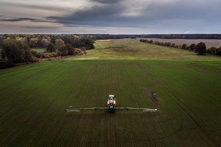 Ameaça: uso desmedido de agroquímicos é uma das razões para declínio. (Florian Gaertner/Getty Images)