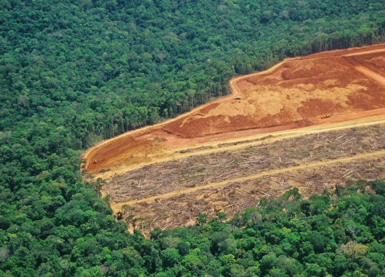 Desmatamento: dados do Inpe apontaram que desmatamento da Amazônia cresceu mais de 88% em junho (luoman/Getty Images)