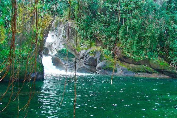 Itatiaia: parque fica entre os estados do Rio de Janeiro e Minas Gerais (IcmBio/Divulgação)