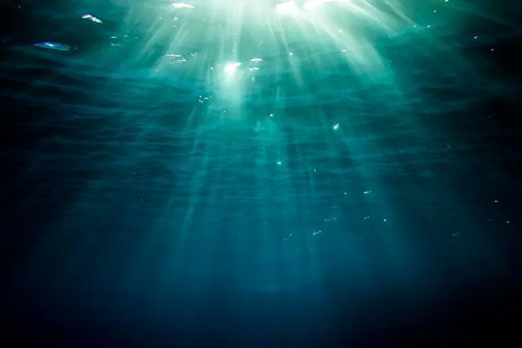 Oceano: Apesar da alteração deixar as águas mais bonitas, pesquisadores consideram fenômeno um problema (Reilly Wardrope/Getty Images)