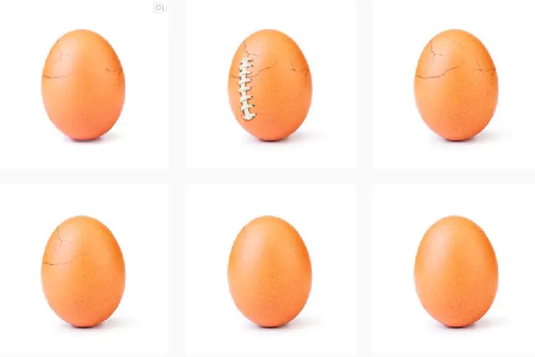 Escolha do ovo foi porque o alimento "não tem gênero, raça ou religião. Um ovo é um ovo, é universal" (Instagram/Reprodução)