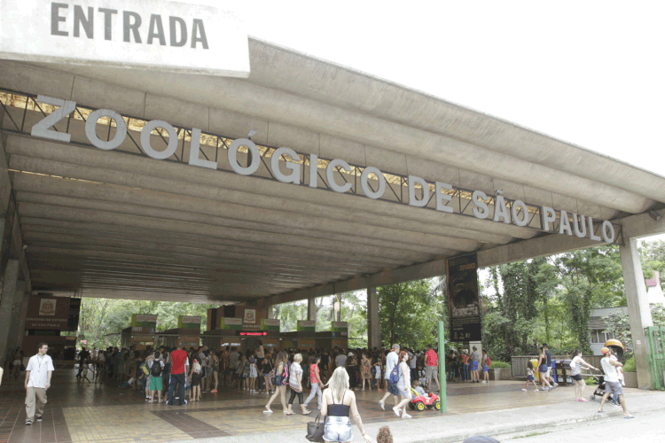 Zoológico: Parque aberto em 1958 será privatizado (Facebook Zoológico/Facebook)