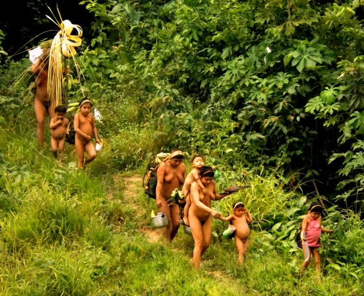 Tribo korubo se dispersou e separou na floresta, aparentemente devido à presença crescente de pescadores ilegais na reserva (Funai/Divulgação)