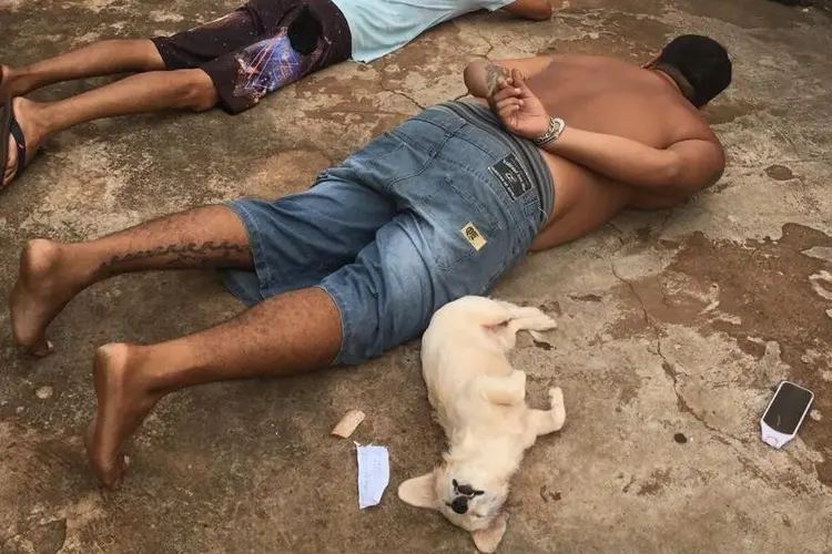 Cachorrinha meliante: animal de estimação de um dos suspeitos deitou no chão achando que momento se tratava de uma brincadeira (Facebook/Reprodução)
